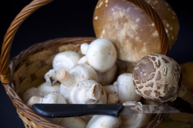 Natürmort mantar, soğan, baharat