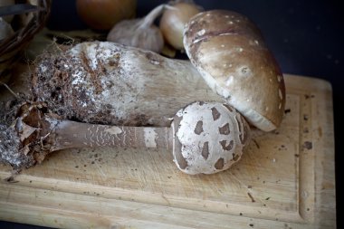 Natürmort mantar, soğan, baharat