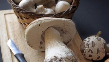 Natürmort mantar, soğan, baharat