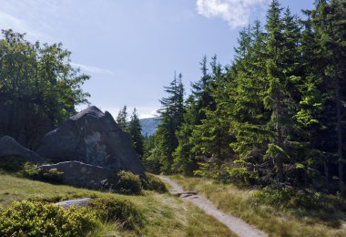 karkonosze kayalar grup