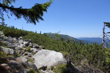 karkonosze içinde dağ yolu