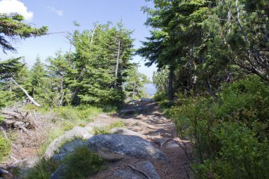 karkonosze içinde dağ yolu