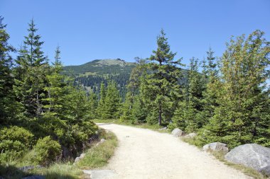 karkonosze szrenica mount