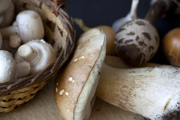 Natureza morta com cogumelos, cebola, temperos — Fotografia de Stock