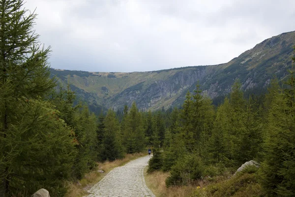 Szlak górski w karkonosze — Zdjęcie stockowe