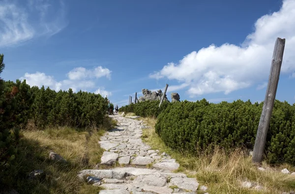 Karkonosze içinde dağ yolu — Stok fotoğraf