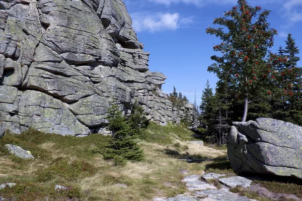 Grupo de rocas en KArkonosze — Foto de Stock