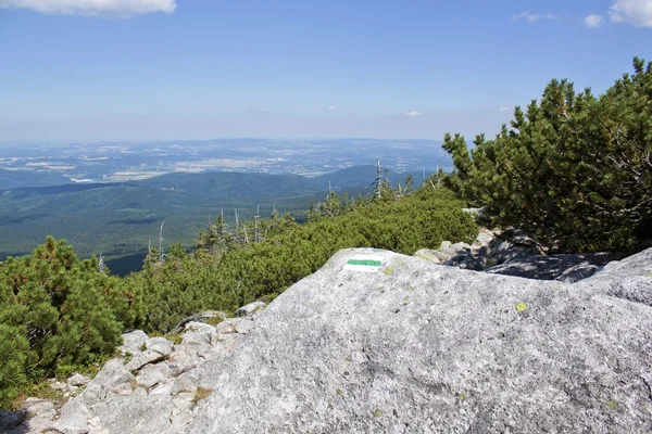 Szlak górski w karkonosze — Zdjęcie stockowe