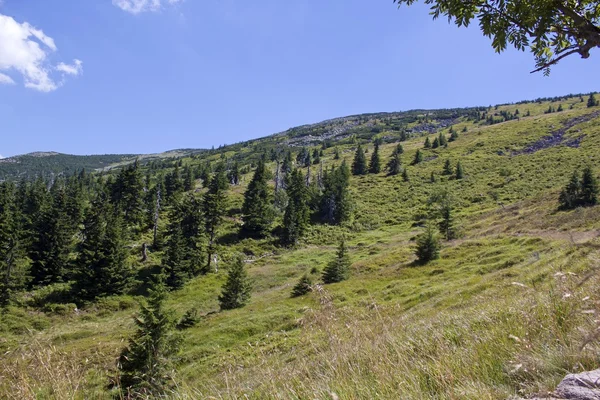 Szlak górski w karkonosze — Zdjęcie stockowe