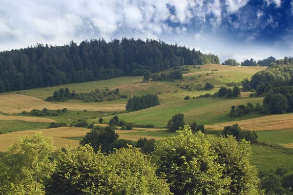 Гарне літо — стокове фото