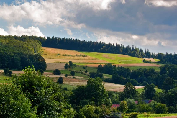 Schöner Sommer — Stockfoto