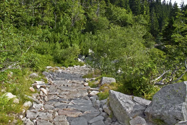 Karkonosze içinde dağ yolu — Stok fotoğraf