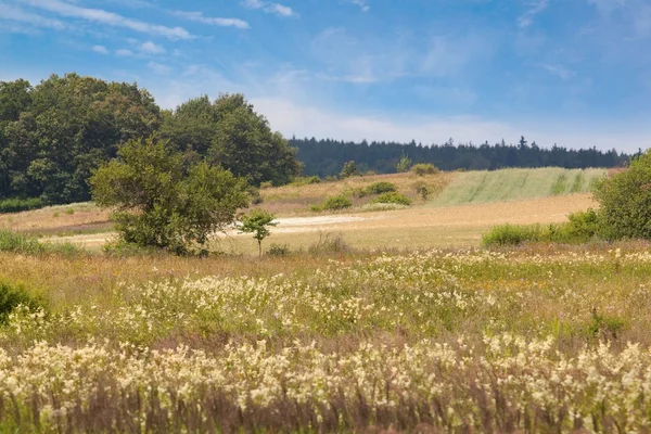 Piękny krajobraz z pola i wzgórza — Zdjęcie stockowe