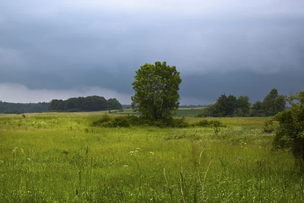 Przed burzą — Zdjęcie stockowe