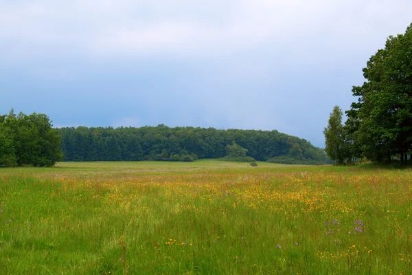 Venkovské prostředí — Stock fotografie