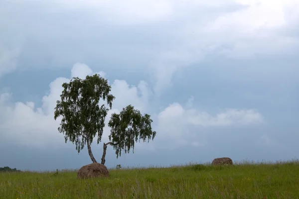 Céu nublado antes da tempestade — Fotografia de Stock