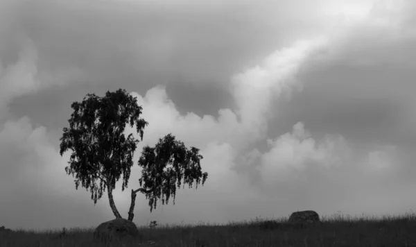 Céu nublado antes da tempestade — Fotografia de Stock