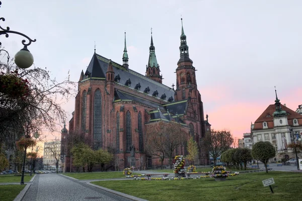 St. Petrus en st. Paulus kathedraal in legnica, Polen — Stockfoto