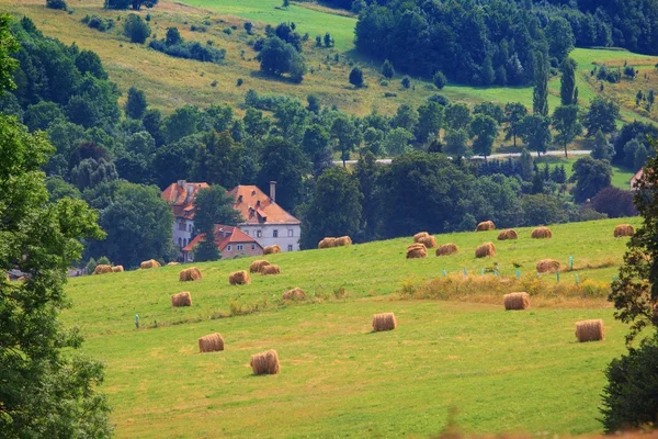 Bir alan ve saman ile kırsal manzara yaz — Stok fotoğraf