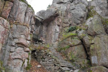 ormanda, Polonya Ortaçağ Kalesi bolczow Harabeleri