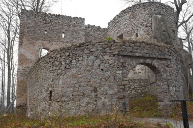 ormanda, Polonya Ortaçağ Kalesi bolczow Harabeleri