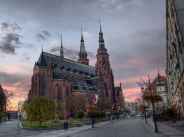 St. peter ve st. paul Katedrali legnica, Polonya
