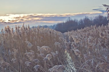 Göl, soğuk sabah yatay