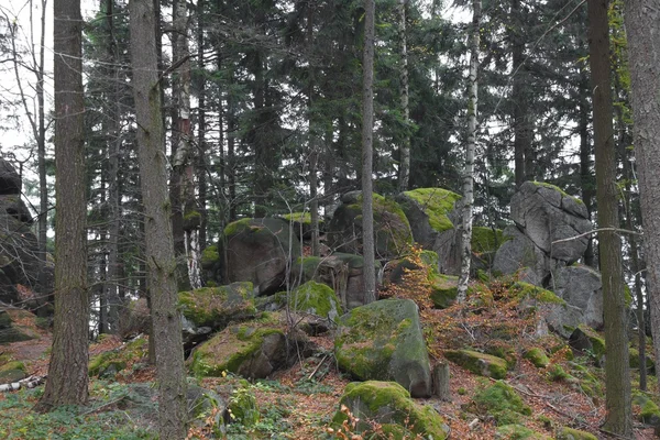 Pedras enormes com musgo — Fotografia de Stock