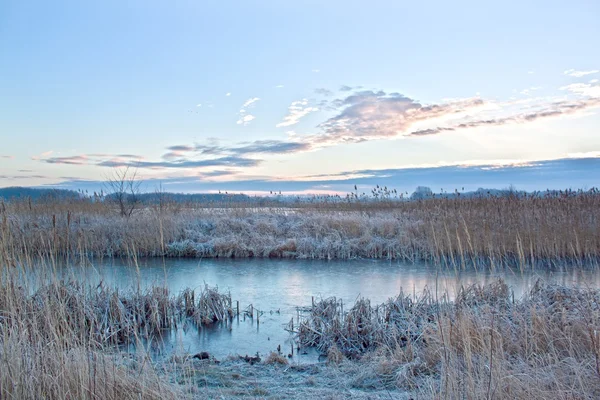 Göl, soğuk sabah yatay — Stok fotoğraf