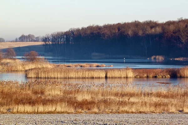 Frosty's ochtends landschap met meer — Stockfoto