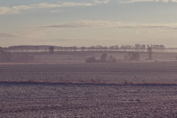 Una mañana brumosa en un paisaje típicamente polaco —  Fotos de Stock