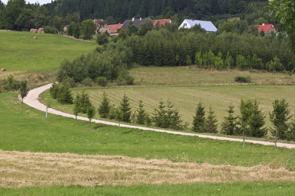 Letní venkovské krajiny s poli a seno — Stock fotografie