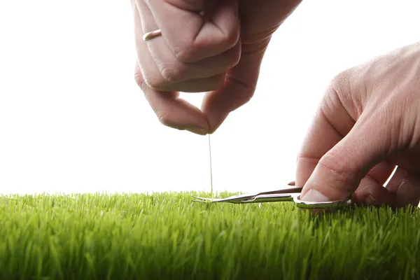 Snijden gras met nagelschaartje — Stockfoto