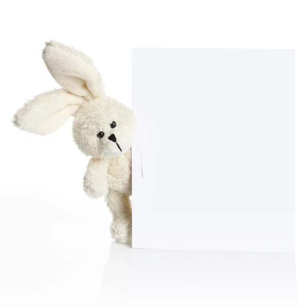 Rabbit ears look out from behind a white paper — Stock Photo, Image