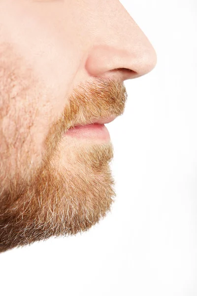 Мужской профиль лица с бородой — стоковое фото