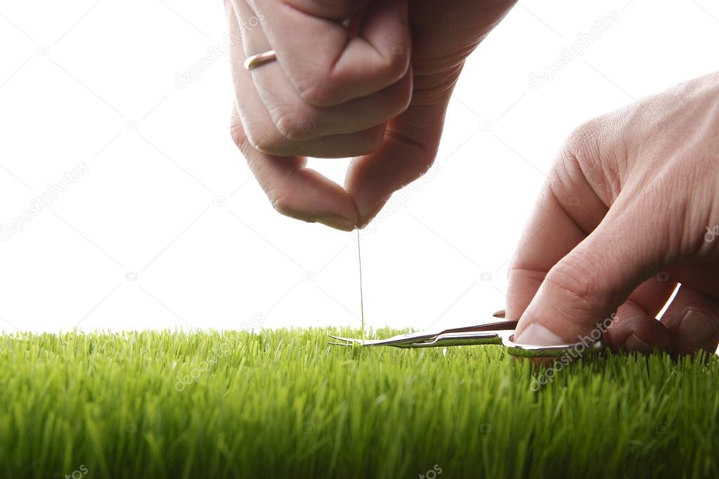 Cutting grass with nail scissors