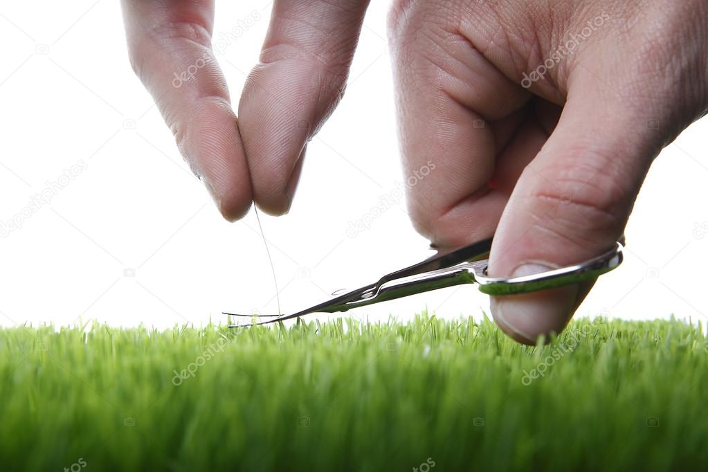 Cutting grass with nail scissors