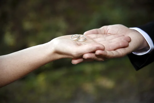 Bride and groom holding rings — Stock Photo, Image