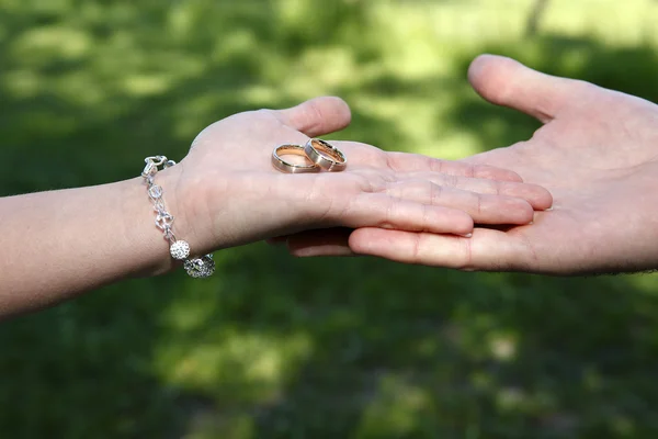 Bride and groom hands — Stock Photo, Image