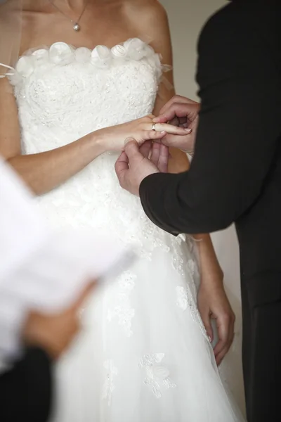 Bride and groom hands — Stock Photo, Image