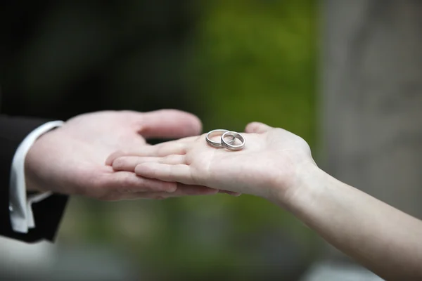 Manos de una novia y un novio — Foto de Stock