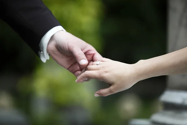 Hands of a bride and groom — Stock Photo, Image