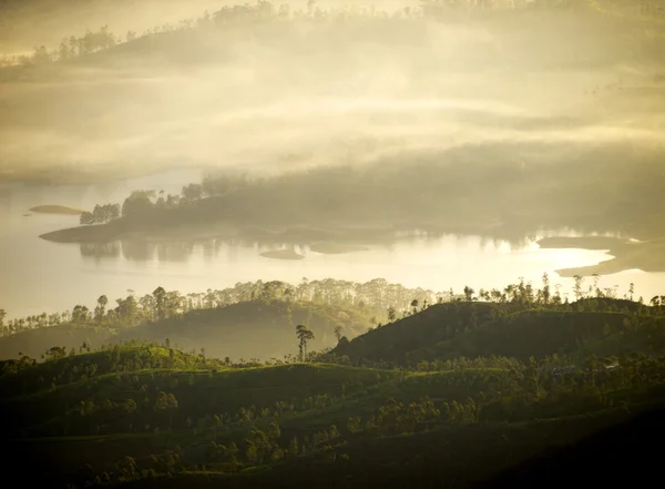 Alba in Sri Lanka — Foto Stock