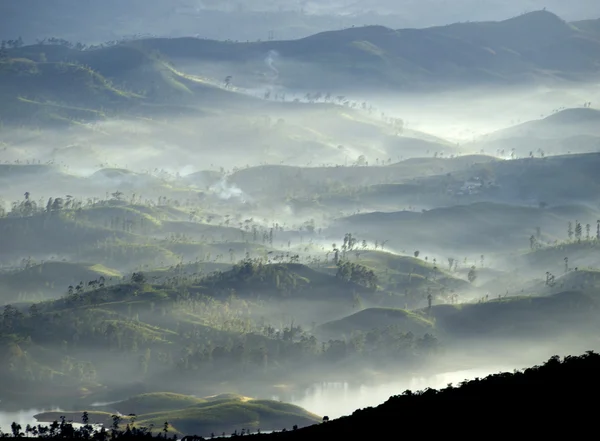 Paesaggio nella nebbia — Foto Stock