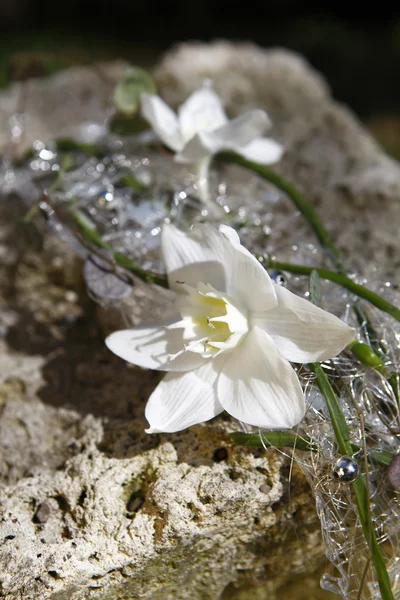 Bridal bouquet with jasmine — Stock Photo, Image