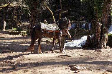 Horse riding at the waterfalls in Vittel Morocco clipart
