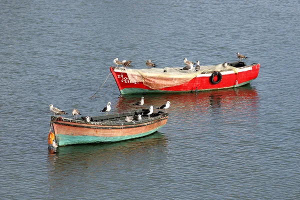 Přístav v el jadida, Maroko — Stock fotografie