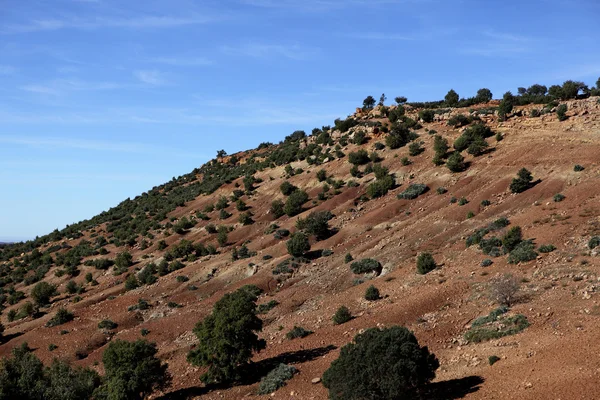 Landscape in Morocco — Stock Photo, Image