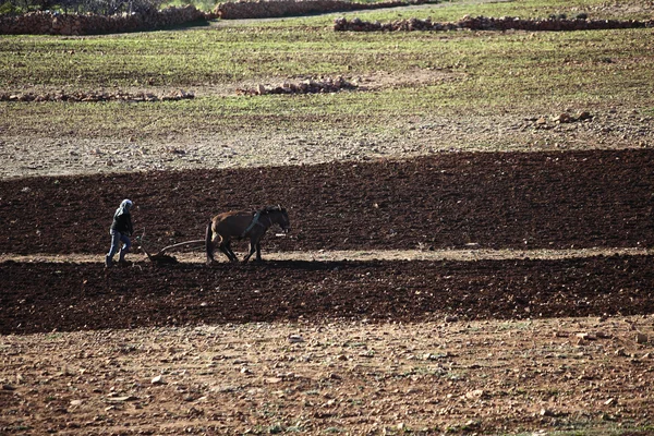 Landschap in Marokko — Stockfoto