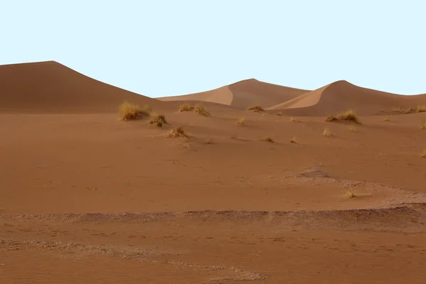 Dunes in the desert — Stock Photo, Image